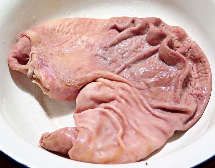 Воспаление пуповины у телят