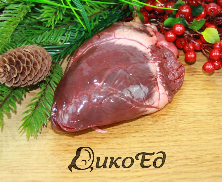 Мышцы оленя