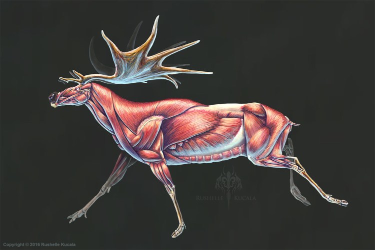 Ветеринария КРС Ветеринария болезни