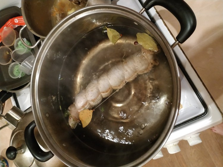 Фотоохота на лося