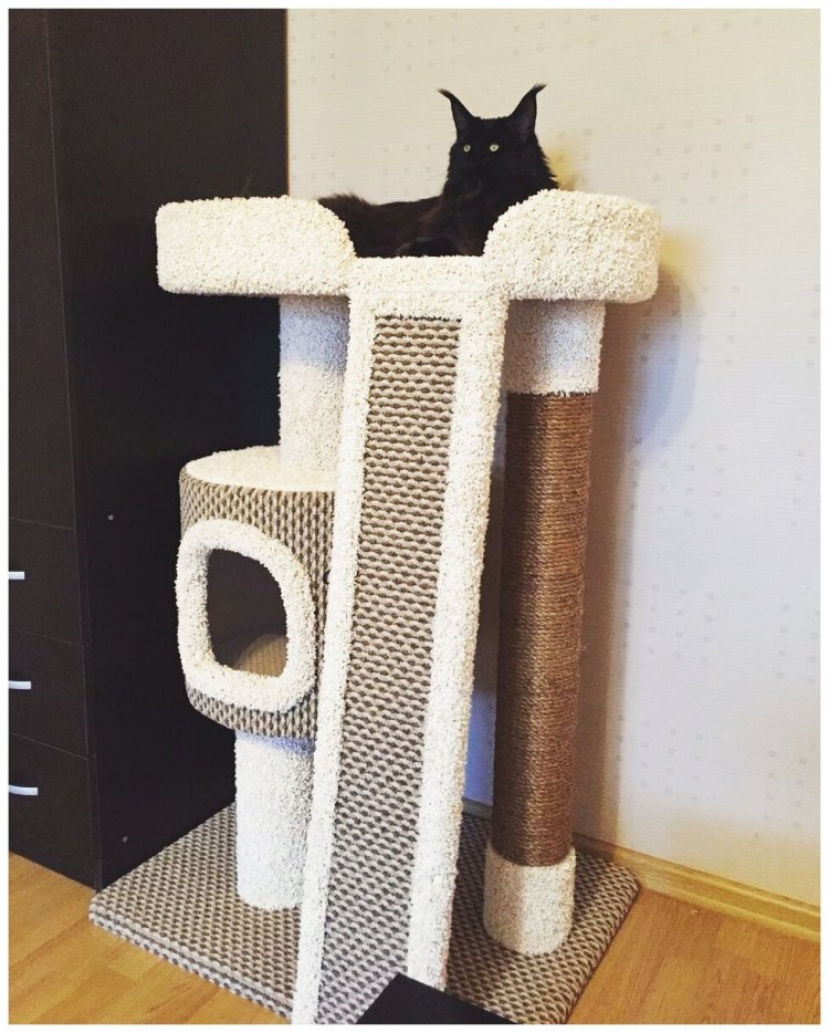 Домик когтеточка h100*70*45см, домик d46см д/Мейн кунов кун-31-д кисмит