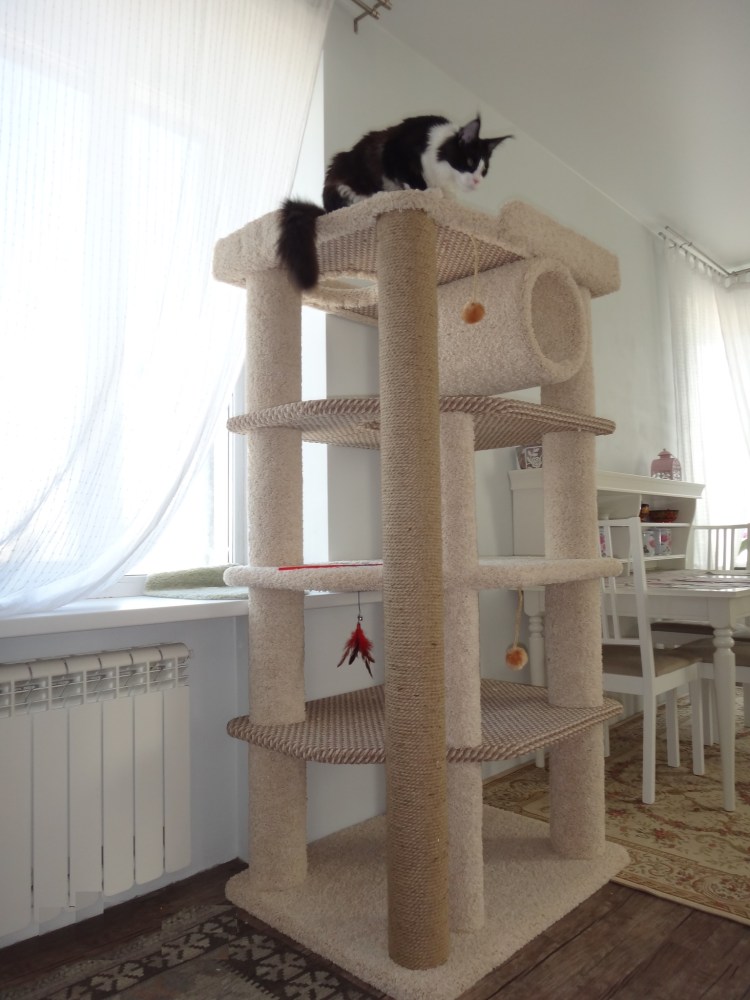 Комплекс для Мейн куна с когтеточкой