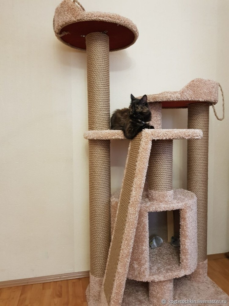 Игровой комплекс для Мейн куна