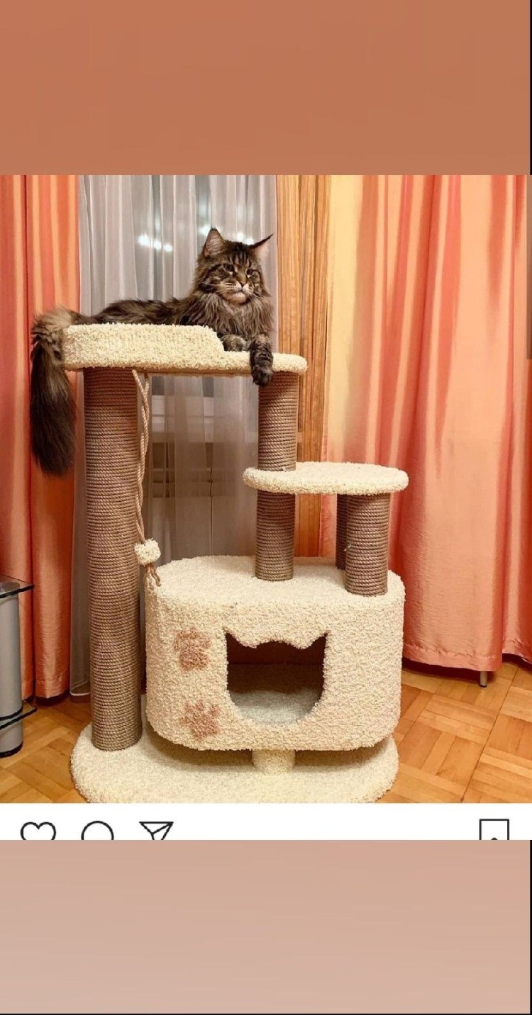 Игровой комплекс для кошек tree123