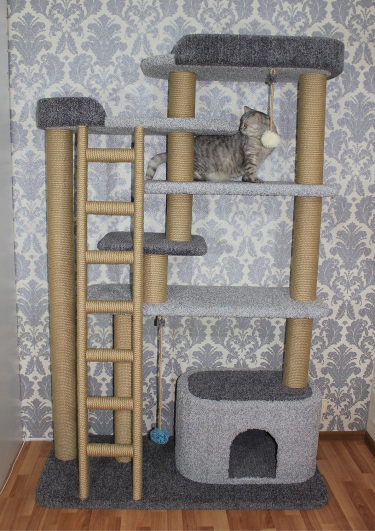 Домик когтеточка h100*70*45см, домик d46см для Мейн кунов кун-31-д кисмит