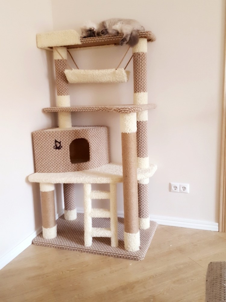 Когтеточки с домиком наверху для кошек