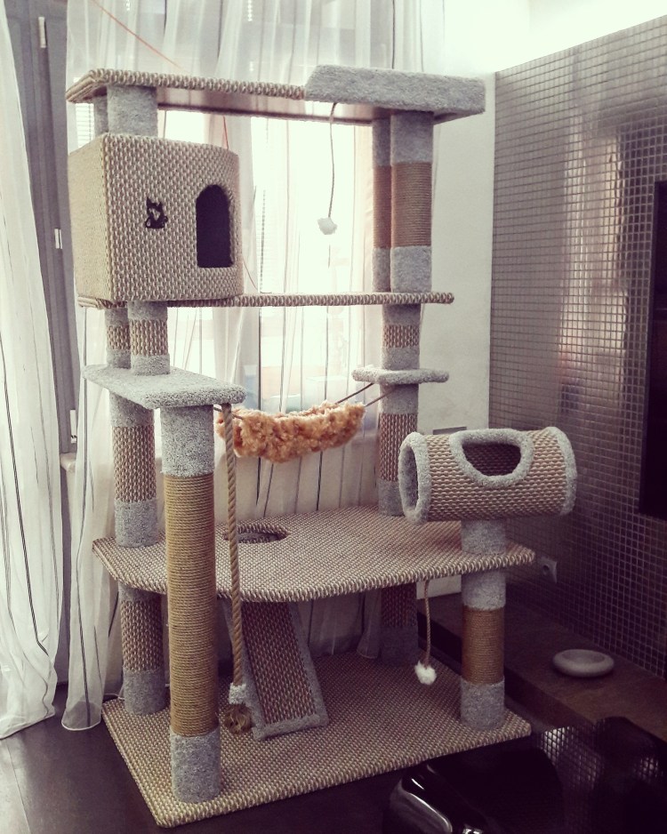 Комплекс когтеточка для Мейн куна