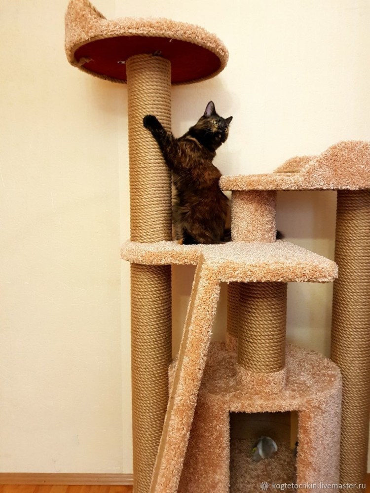 Игровой комплекс для кошек на стену