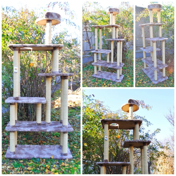 Домик для Мейн куна