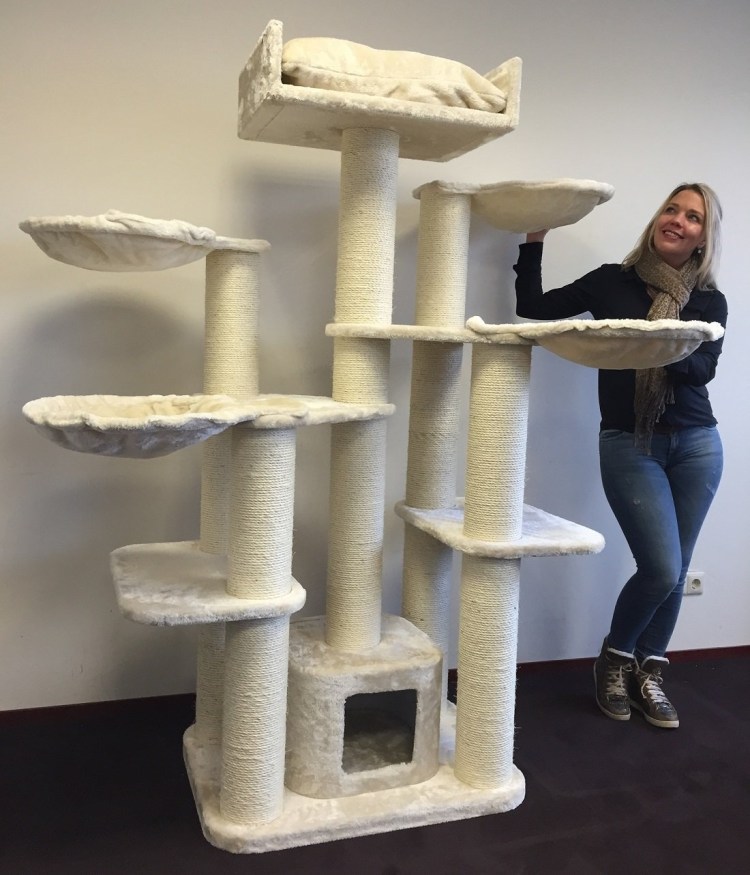 Комплексы когтеточки для Мейн кунов