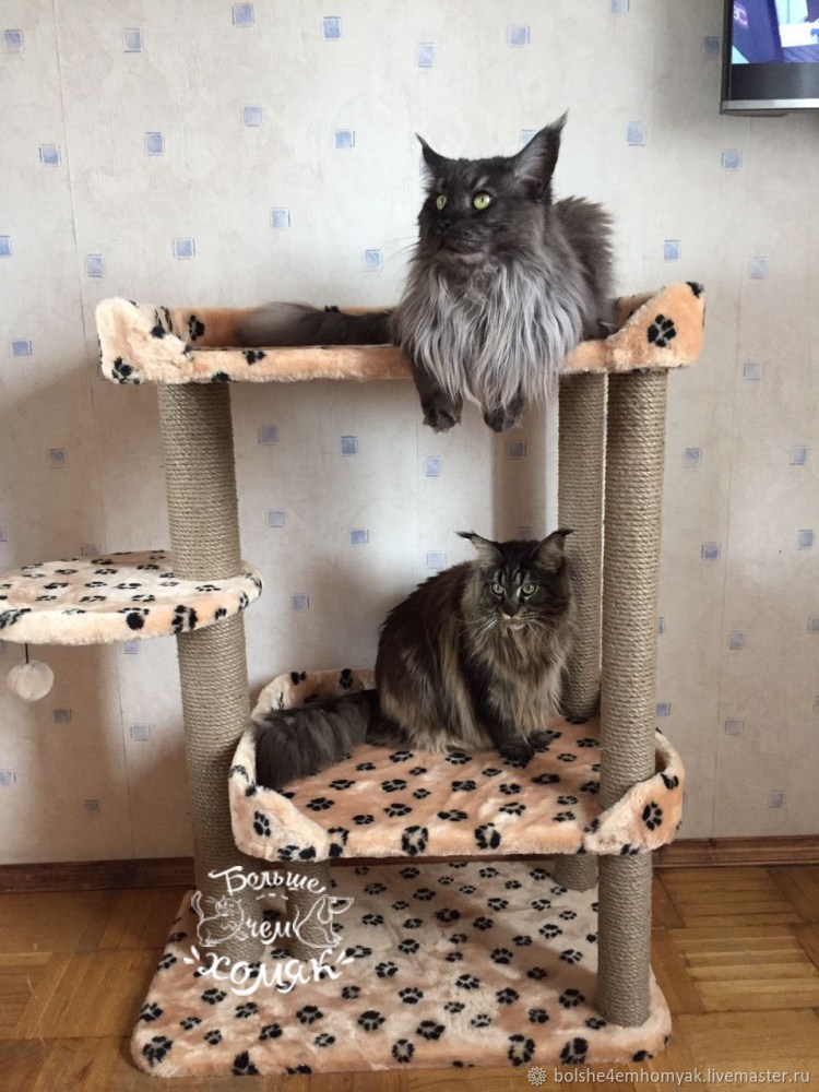 Домик для кошки Лондон