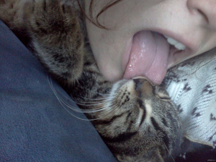 Девочка лижет кота