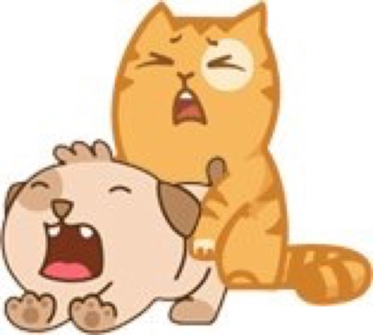 Коты обнимаются