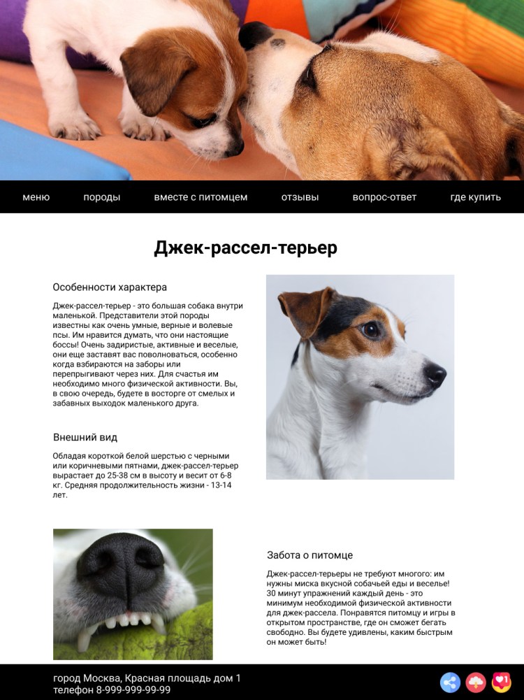 Список покупок для собаки Джек Рассел терьер