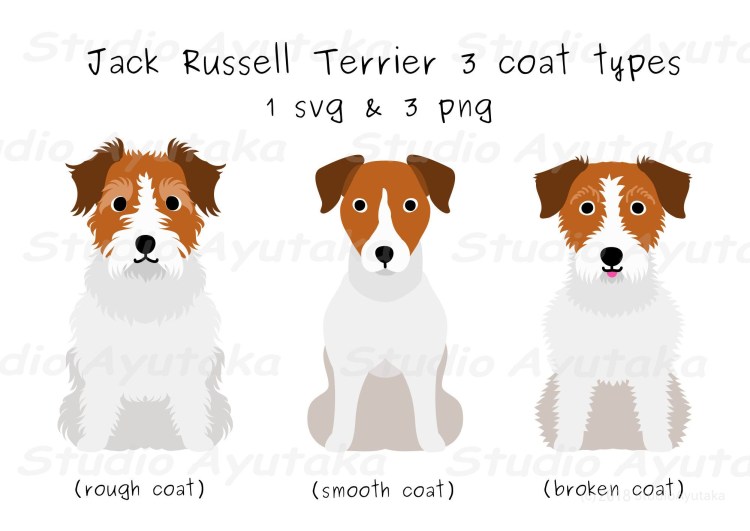 Зубы разных пород собак