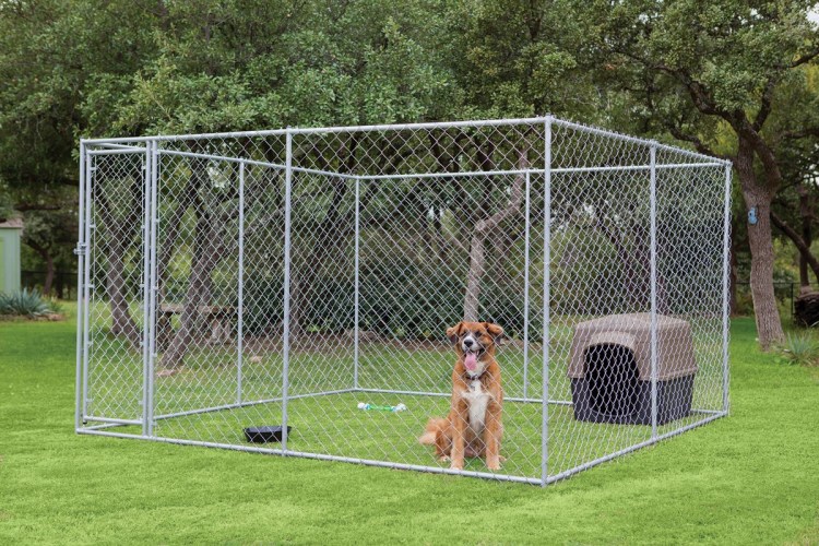 Кормокухня в питомнике для собак