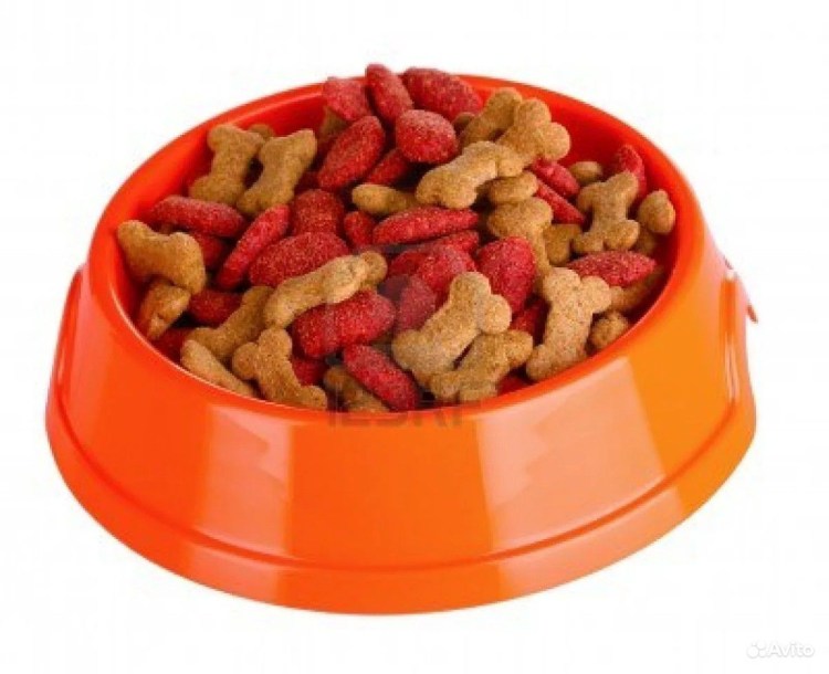 Регулируемая подставка с мисками Ankur Exports 2x2,8 л.