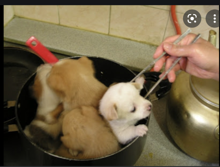 Подставка Trixie 24921 с мисками 2 х 1.8 л