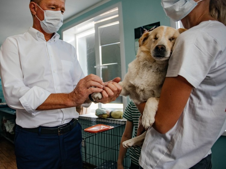 Вольер для питомника собак