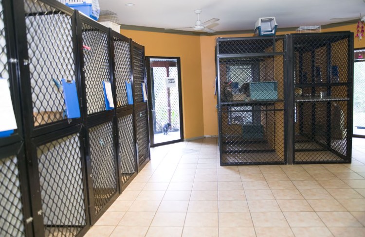 Кормокухня для животных