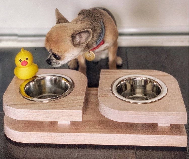 Стул для собаки мегаэзофагус