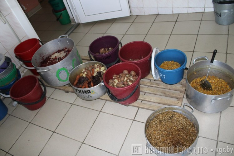 Стенд с документацией на кормокухне для собак