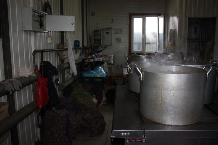 Обустройство питомник