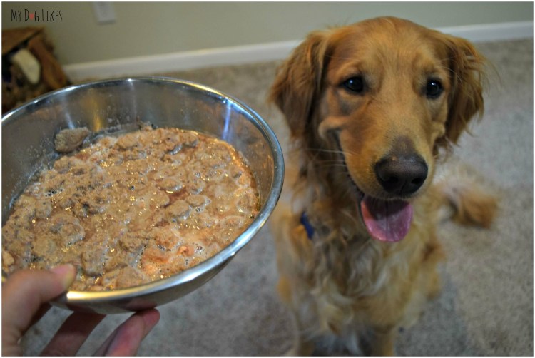 Клетка для собак Pet Gear