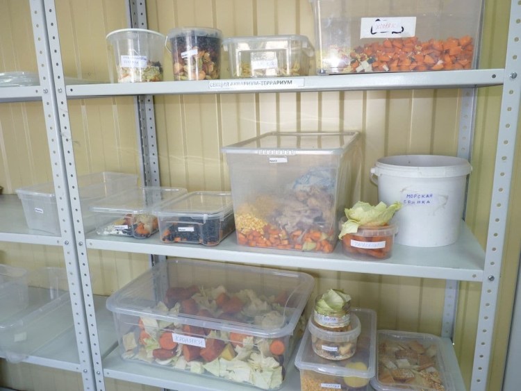 Уличные металлические ограждения для собак