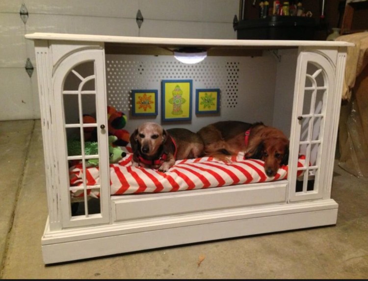 Место для собаки