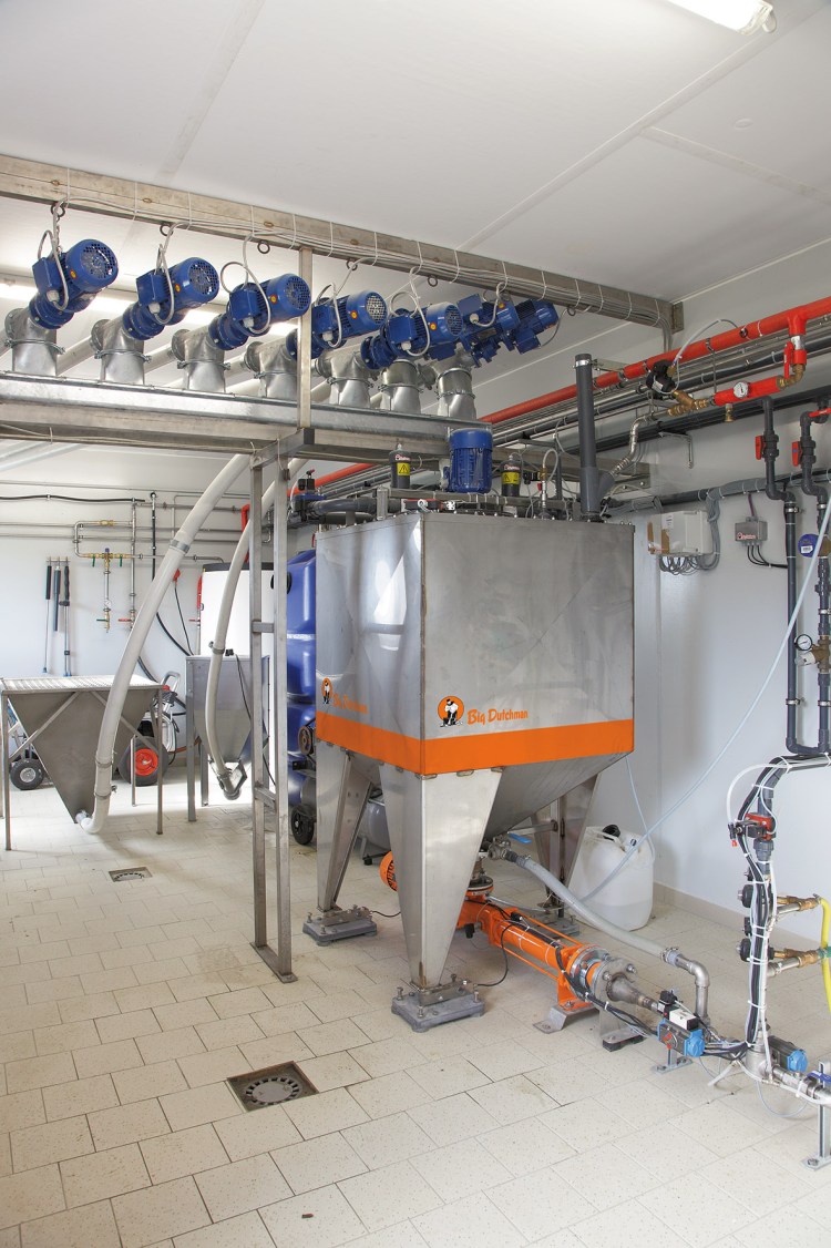 Бездомные собаки приют Курск