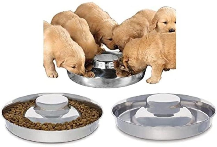 Приюты для животных в России