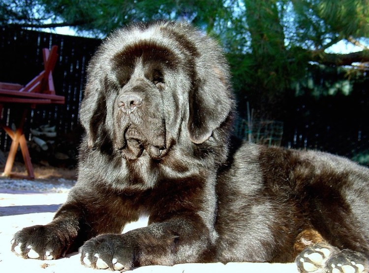 Утро России эфир от 15.06.22