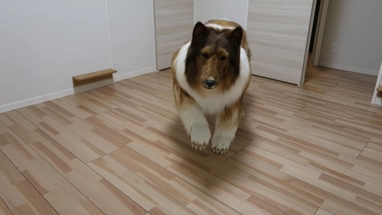 Объявления на авито