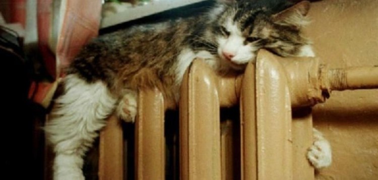 Отопительный сезон