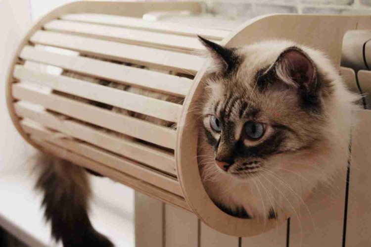 Отопление кот
