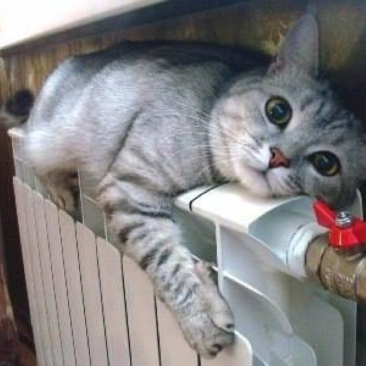 Кот лежит на батарее