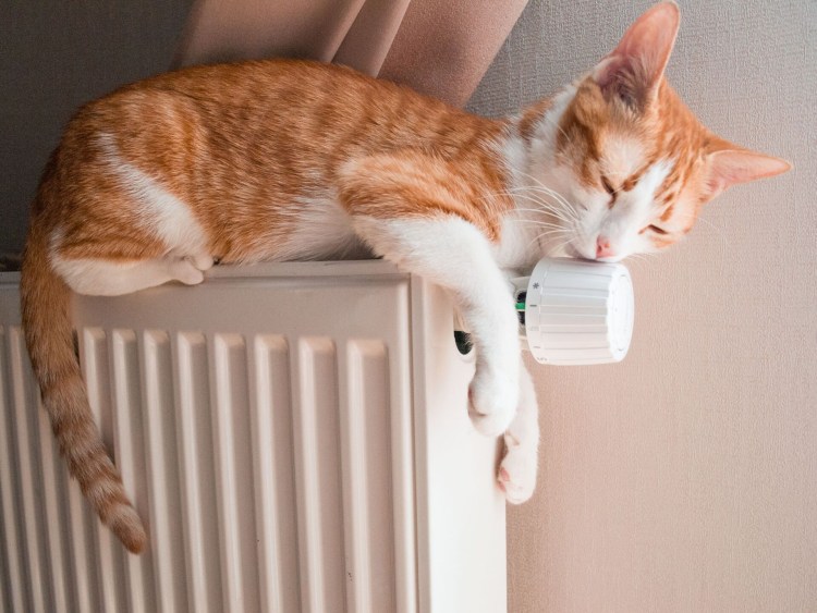 Отопительный сезон