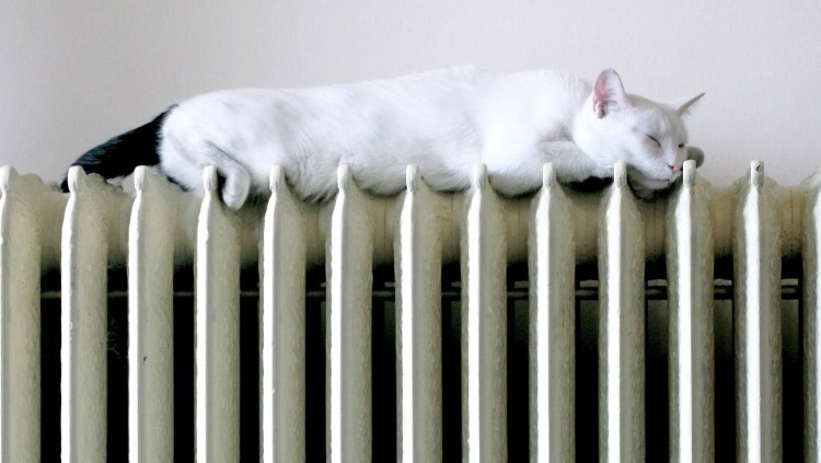 Отопление котик