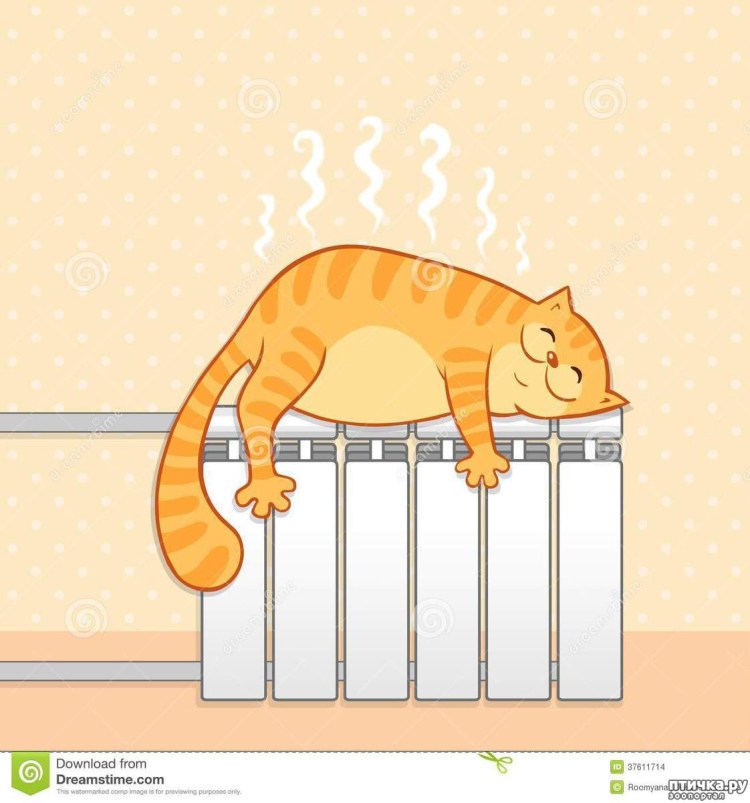 Рыжий кот на батарее