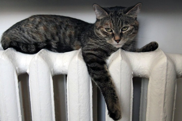 Холодные батареи