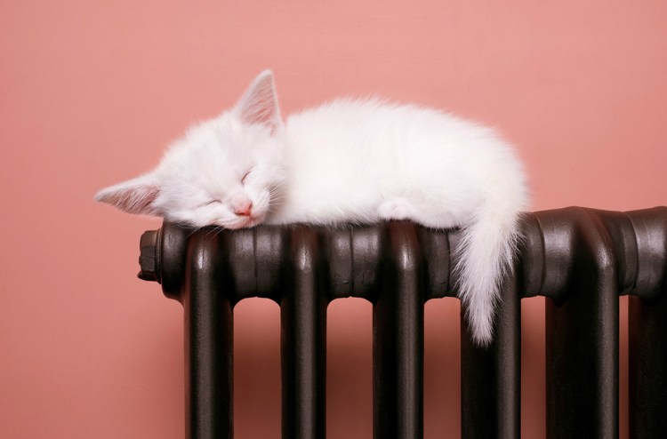 Отопительный сезон