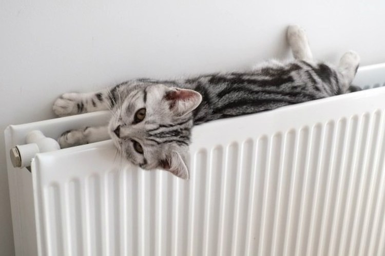 Батарея тепло