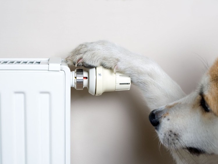 Отключение отопления