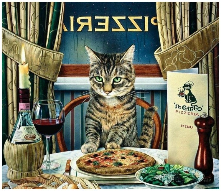 Котик за столом