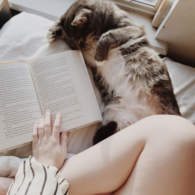 Девушка книжка кот