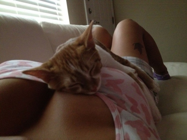 Котик лежит на девушке