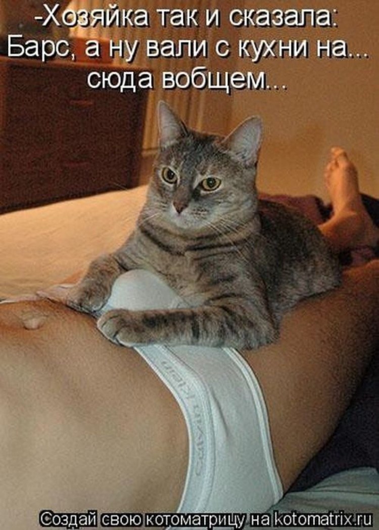 Юмор в картинках и фотографиях с надписями