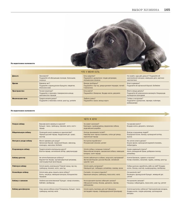 Дэвид Элдертон все породы собак