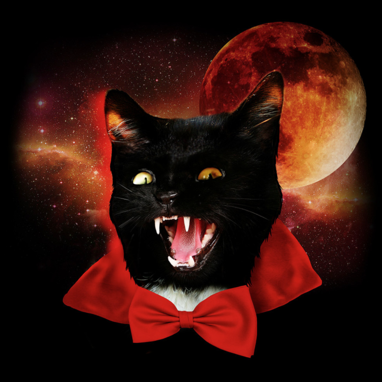 Граф Мрякула кот